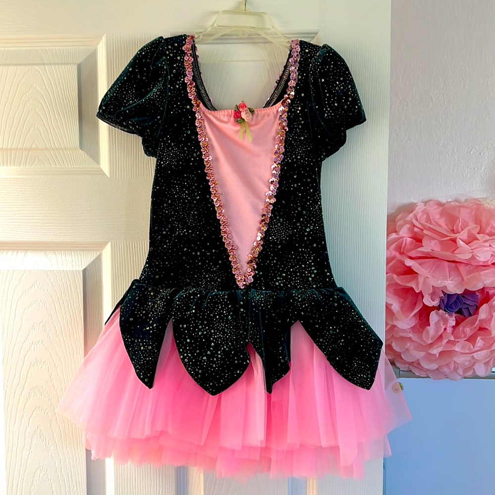 “Morning Dew” Dance costume